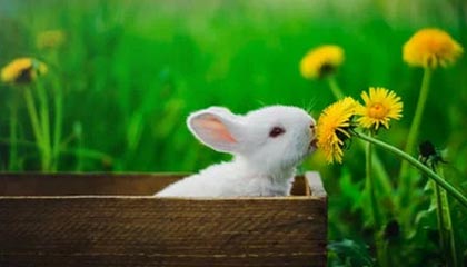 角球防守中吕迪格疑似使用过分力量卡身位，裁判未做判罚